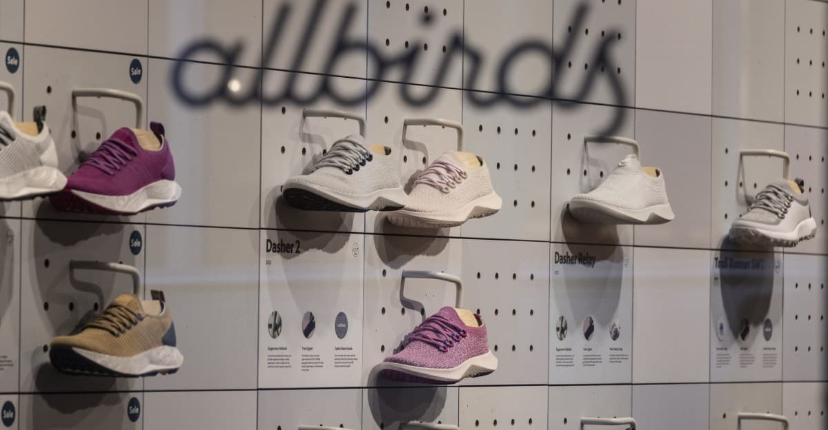 Allbirds Transitions to AI with NewBird AI Branding