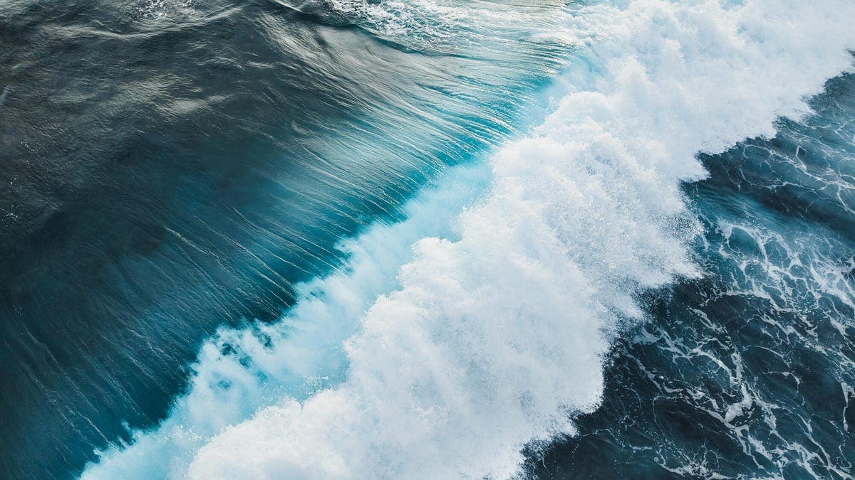 AI's Rapid Evolution Reshapes Professional Landscapes